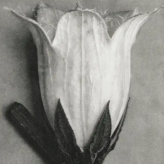 Financial competence illustration