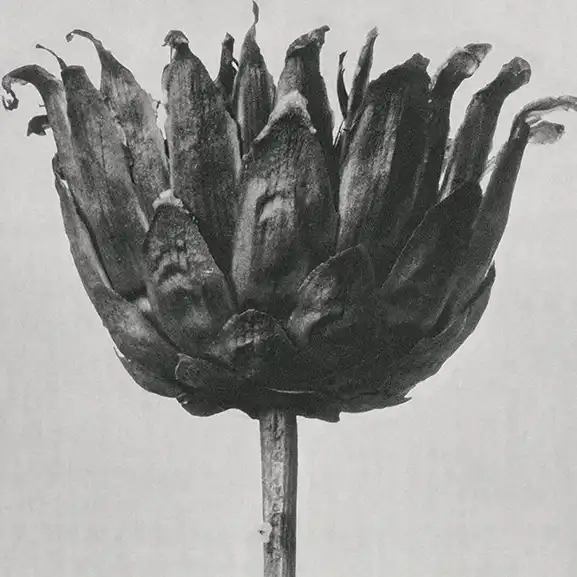 Clear communication illustration